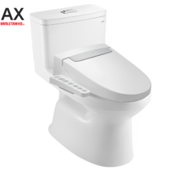 Bàn cầu AC-969+CW-H20VN liền khối