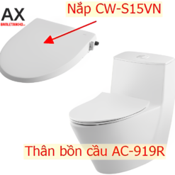 Bồn cầu 1 khối INAX AC-919R+CW-S15VN nắp rửa cơ