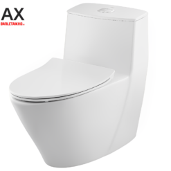 AC 919VRN là mẫu bồn cầu INAX 1 khối nổi bật 2025 30 Bồn cầu INAX AC-919VRN 1 khối