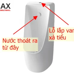 bon tieu nam inax au 468v treo tuong