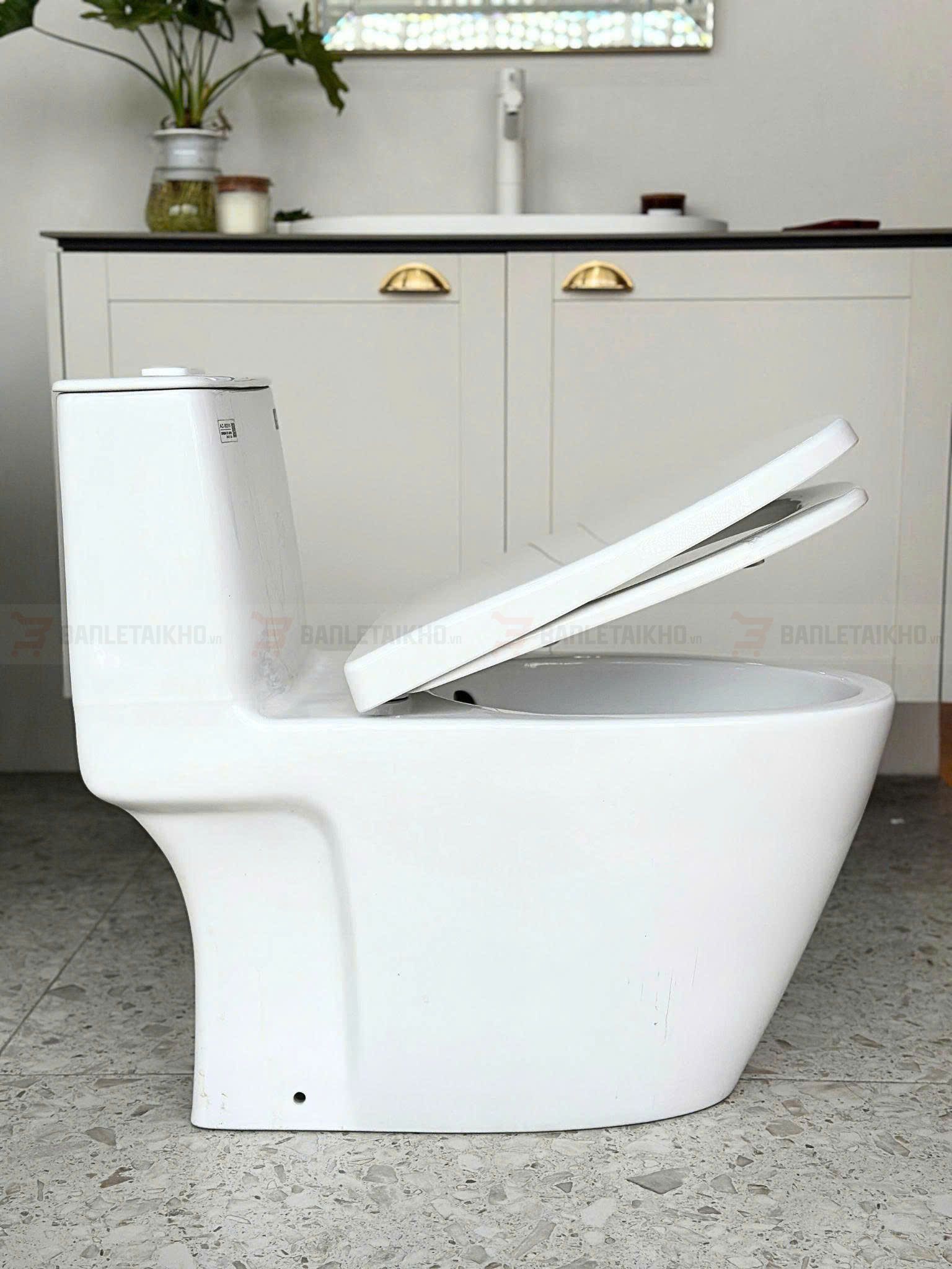 AC 902VN là Bồn cầu INAX 1 khối giá hơn 6.8tr và có chương trình tặng xịt vệ sinh 5 1. AC 902VN