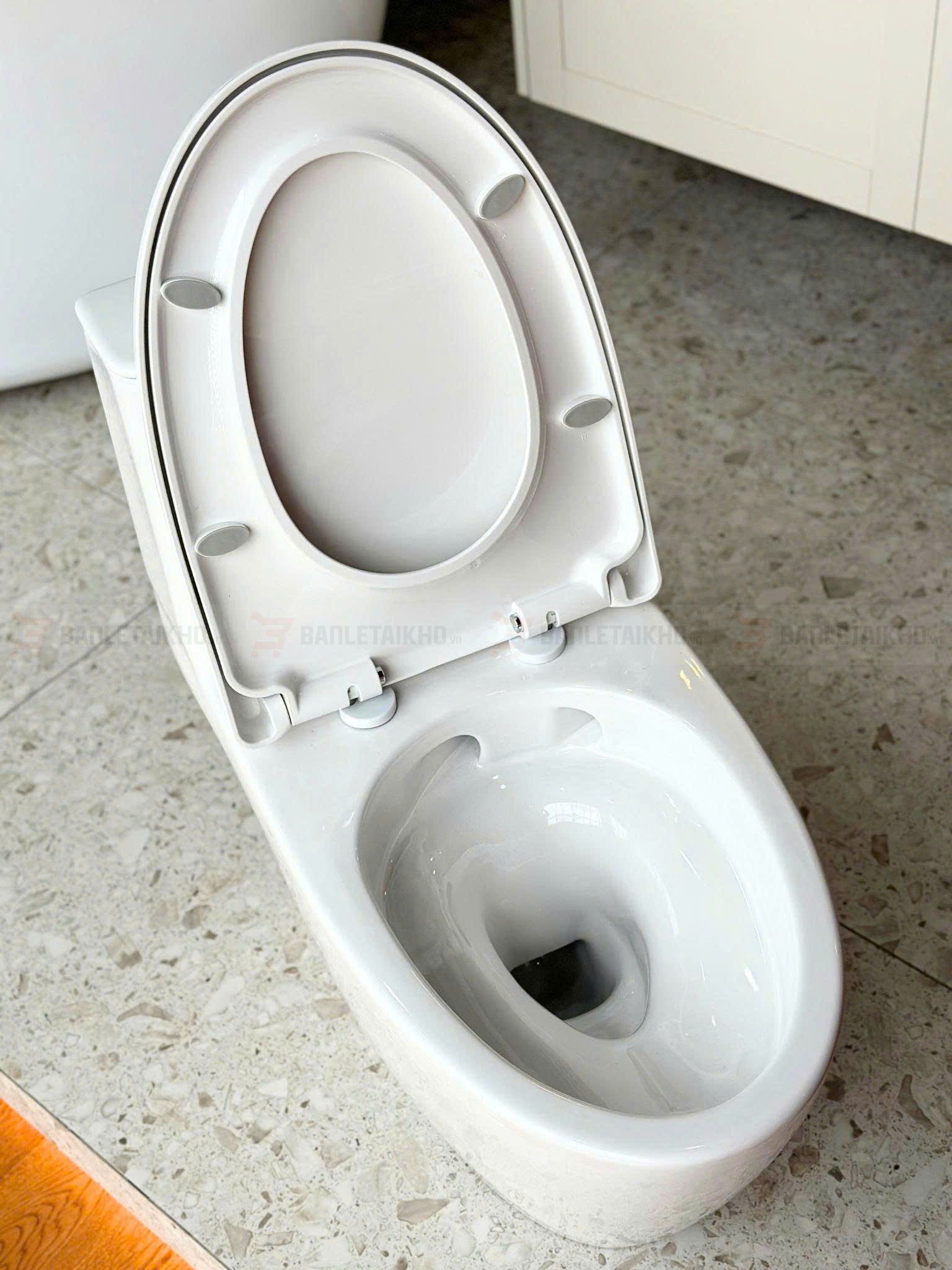 AC 902VN là Bồn cầu INAX 1 khối giá hơn 6.8tr và có chương trình tặng xịt vệ sinh 7 3. AC 902VN