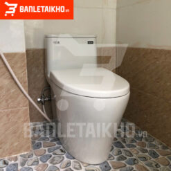 bồn cầu inax ac 989vn