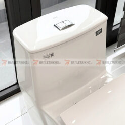 bồn cầu inax ac919vrn 1 khối (liền khối) cao cấp series 900 của inax