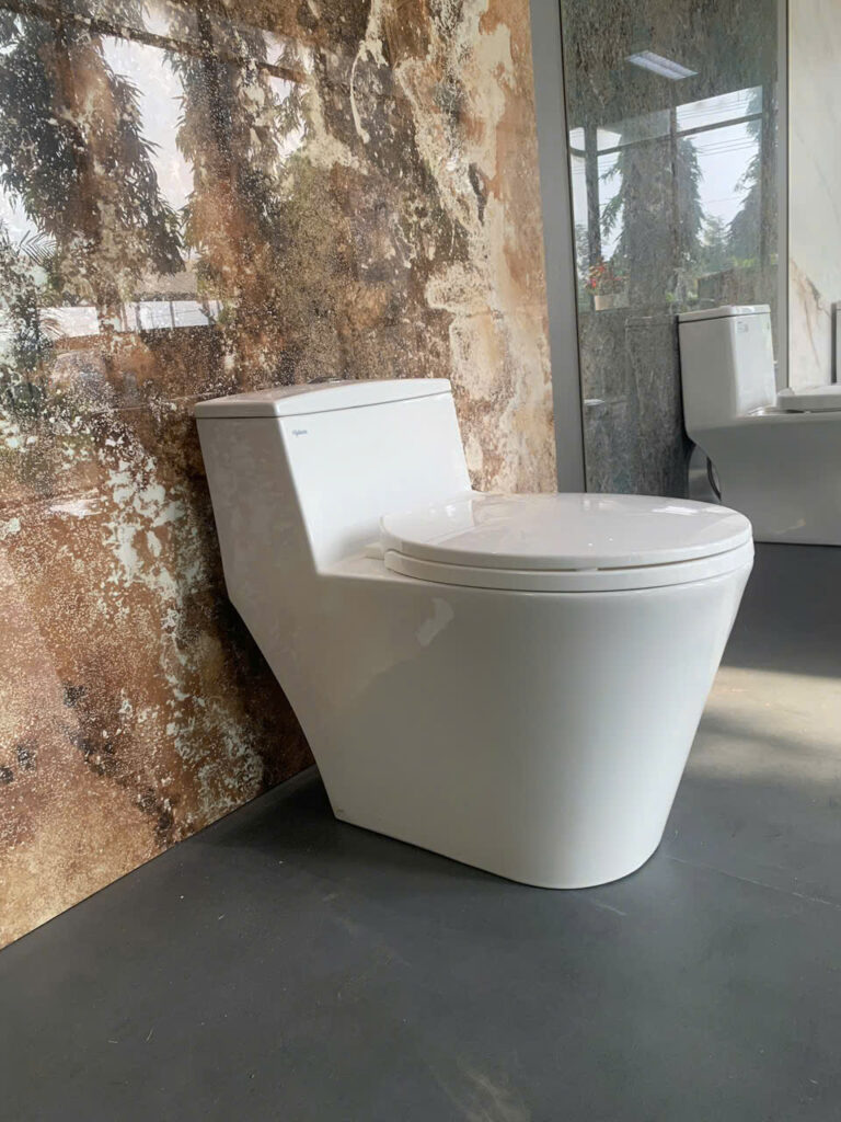 Bồn cầu Viglacera 1 khối V823