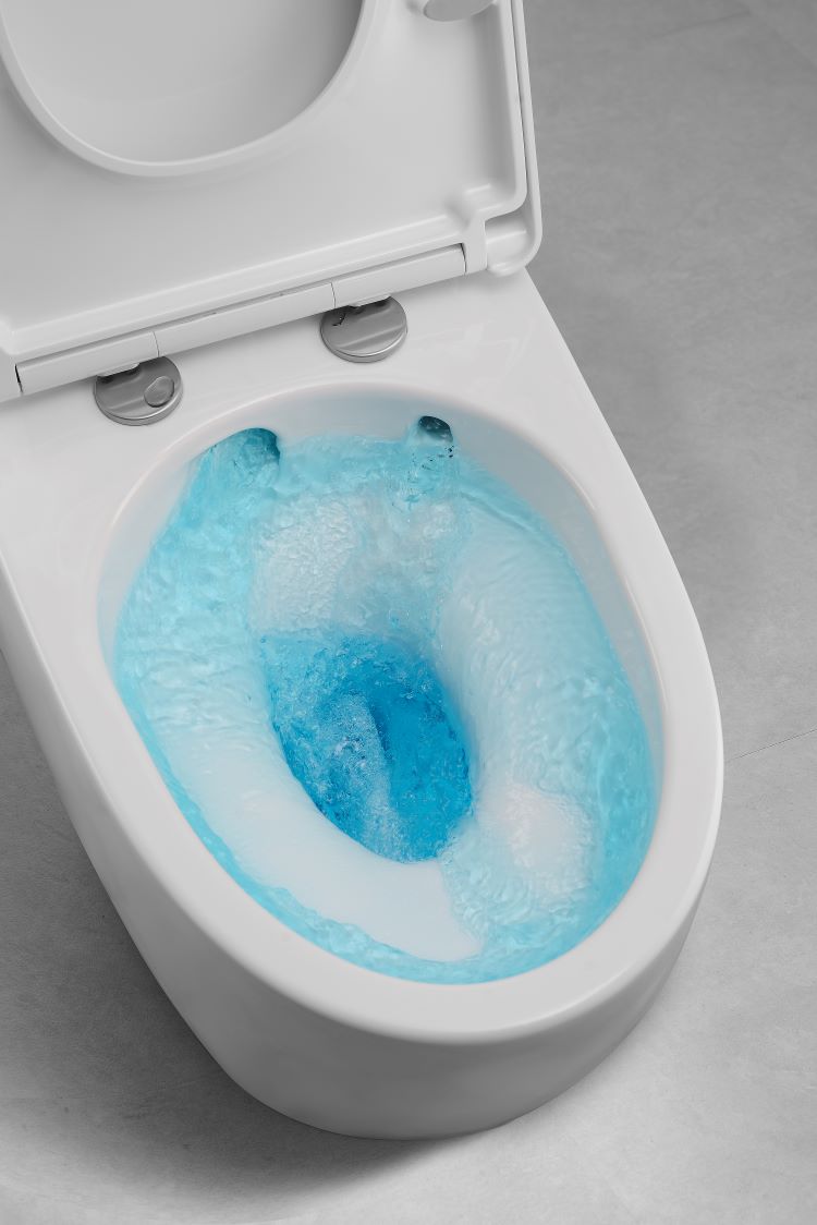 tieu-chi-chon-bon-cau-inax-4