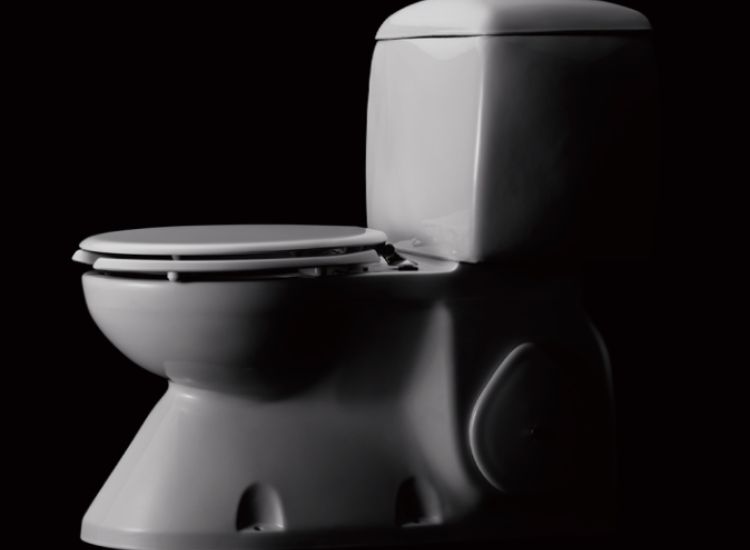 ngay-quoc-te-bon-cau-inax-banletaikho-2