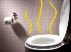 cach-sua-chua-bon-cau-bi-e-hoi-khi-day-trong-duong-ong-inax-banletaikho-1