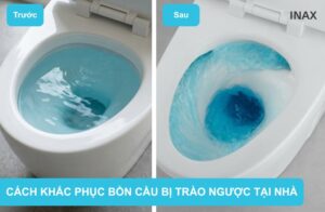 bon-cau-bi-trao-nguoc-inax-banletaikho-1