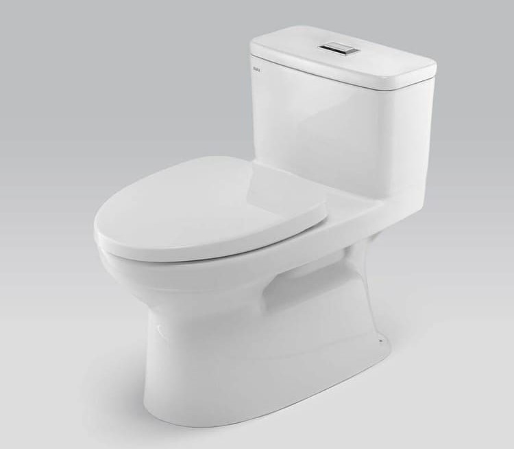 Nắp Bồn Cầu Có Bán Rời Không? Nên Mua Loại Nào? Mua Ở Đâu? 2 nap-bon-cau-co-ban-roi-khong-2