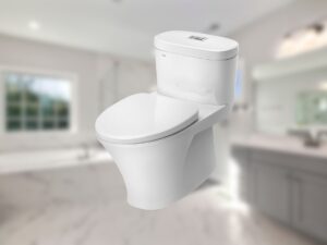 so-sanh-bon-cau-inax-vs-kohler-1.jpg